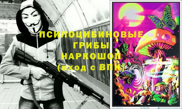 a pvp Аркадак
