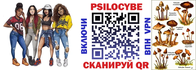 MEGA рабочий сайт  Ельня  Псилоцибиновые грибы Psilocybe 
